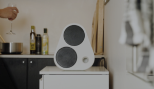 Anmeldelse af bluetooth højtaler