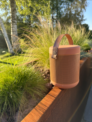 Anmeldelse af bluetooth højtaler