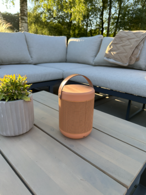 Anmeldelse af bluetooth højtaler