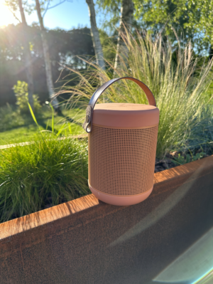 Anmeldelse af bluetooth højtaler