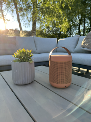 Anmeldelse af bluetooth højtaler